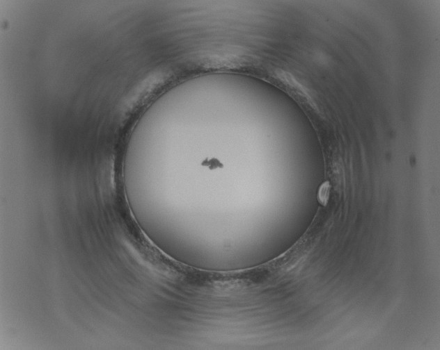 X0000070410686200606231828