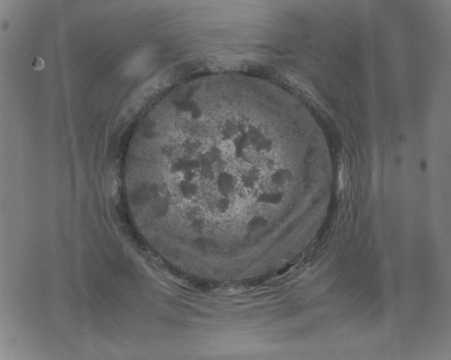 X0000070410687200606231828