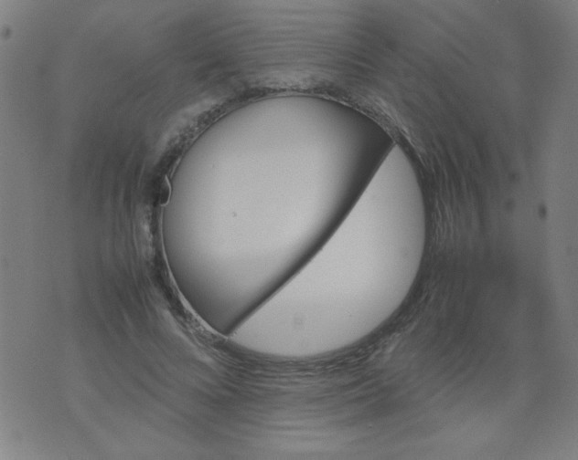 X0000070410688200606231828