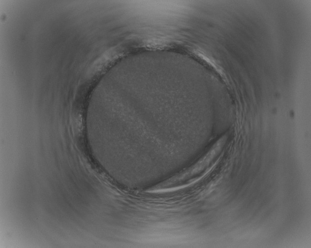 X0000070410689200606231828