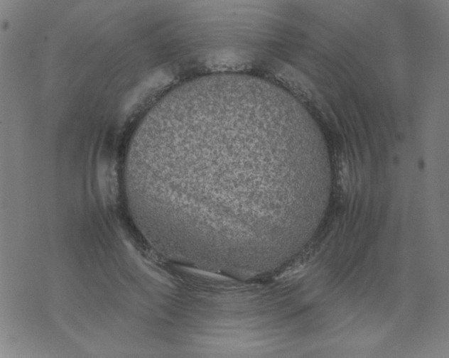 X0000070410690200606231828