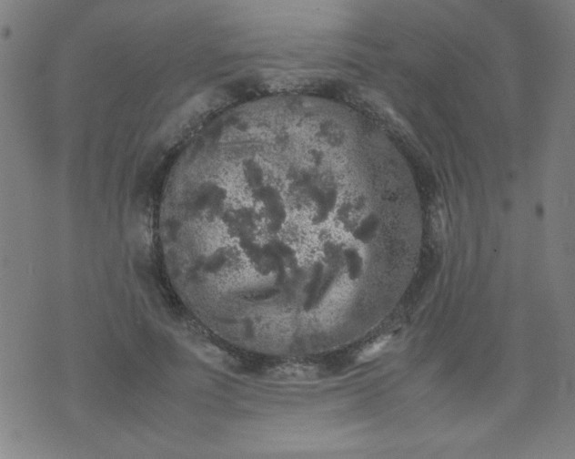 X0000070410691200606231828