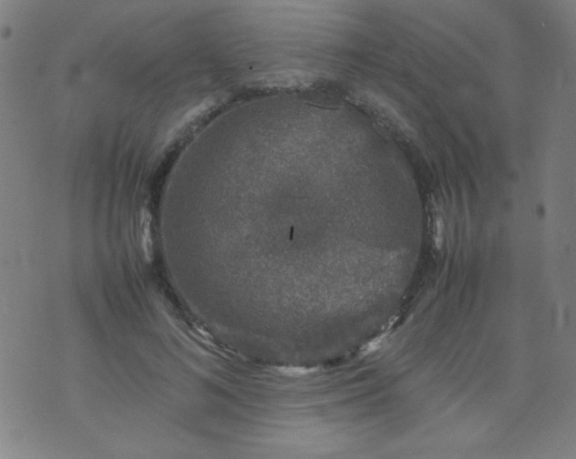 X0000070410692200606231828