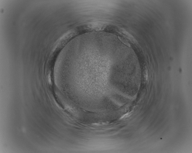 X0000070410693200606231828