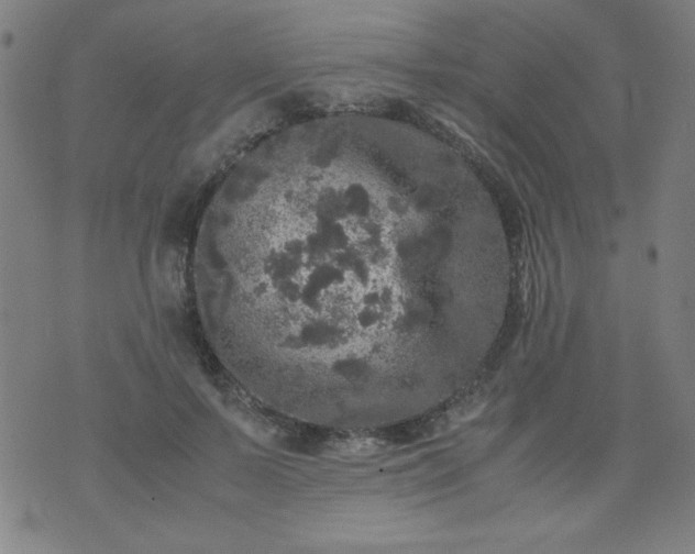 X0000070410695200606231828