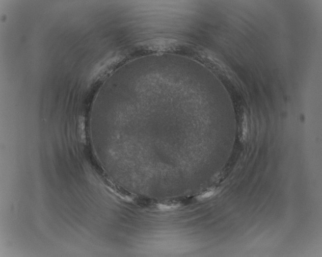 X0000070410696200606231828