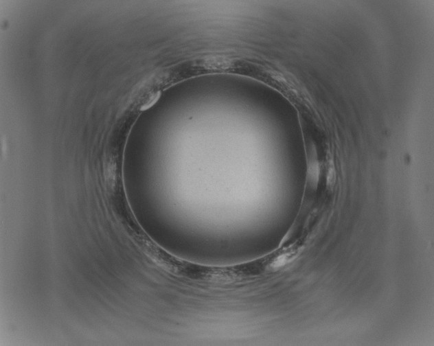 X0000070410697200606231828