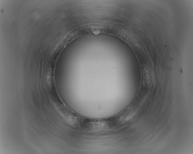 X0000070410698200606231828