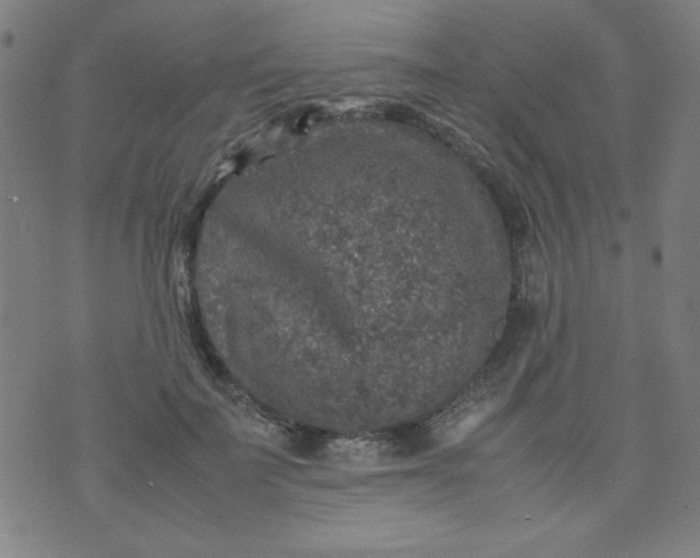 X0000070410699200606231828