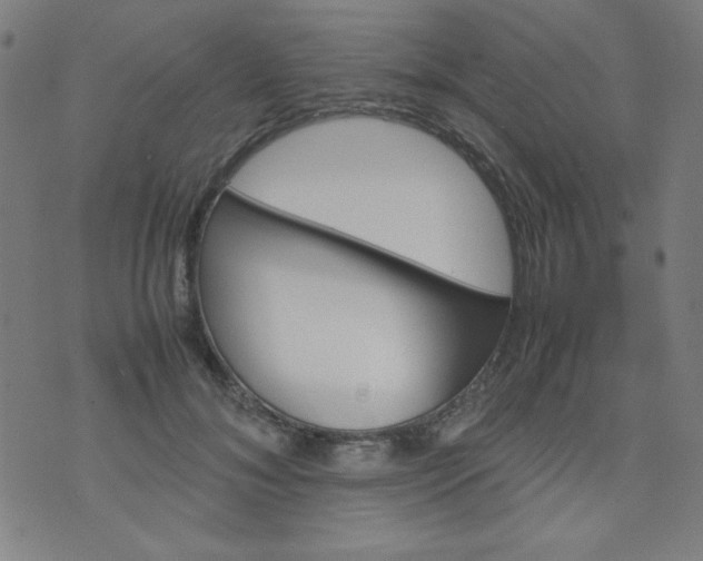 X0000070410700200606231828