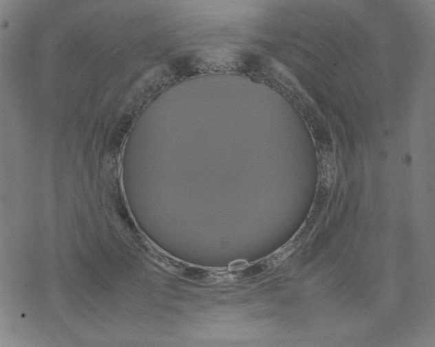 X0000070410701200606231828