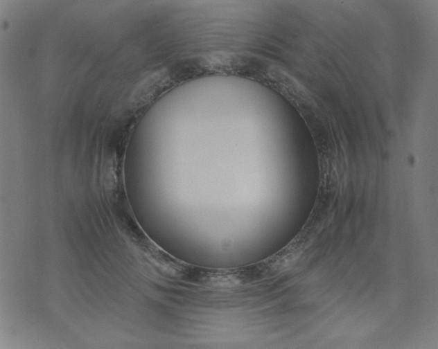 X0000070410702200606231828