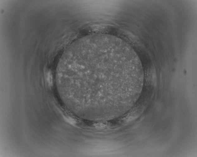 X0000070410703200606231828