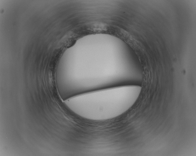 X0000070410704200606231828