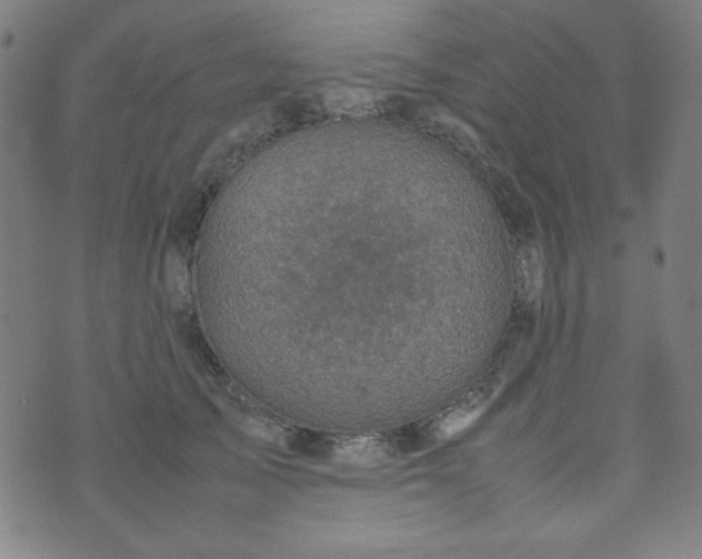 X0000070410705200606231828