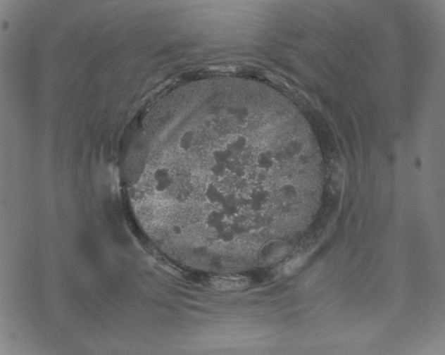 X0000070410707200606231828