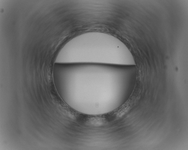 X0000070410708200606231828