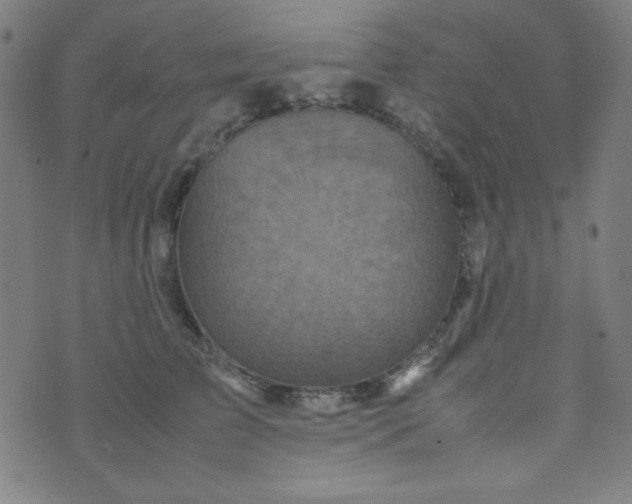 X0000070410709200606231828