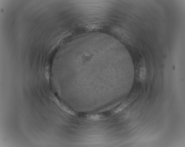 X0000070410710200606231828