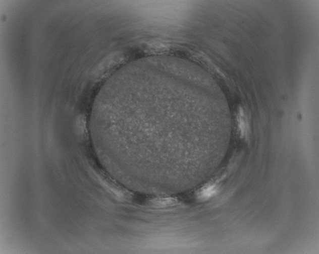 X0000070410711200606231828