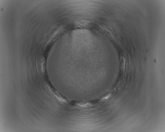 X0000070410712200606231828