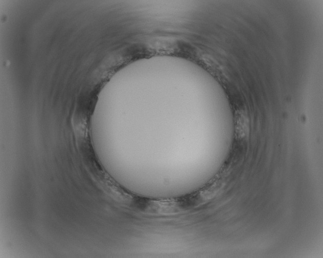 X0000070410713200606231828