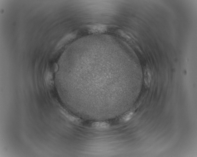 X0000070410714200606231828