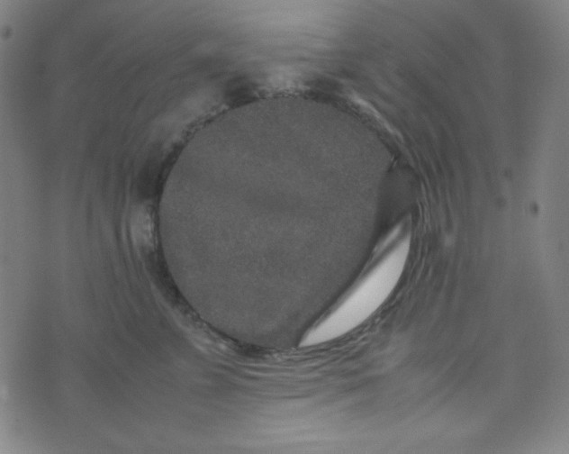 X0000070410715200606231828