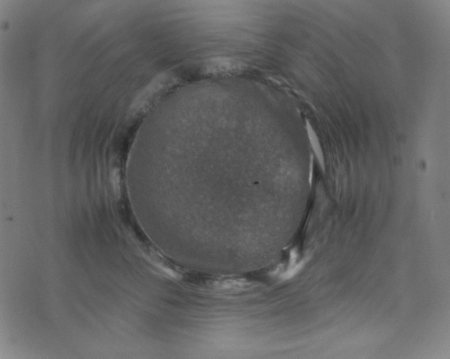 X0000070410716200606231828