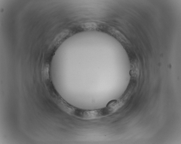 X0000070410717200606231828