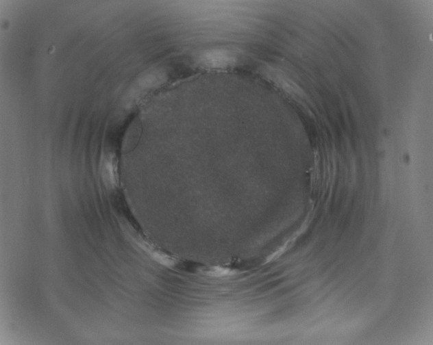 X0000070410718200606231828