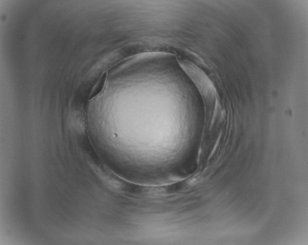 X0000070410719200606231828