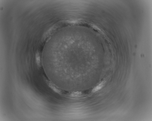 X0000070410720200606231828