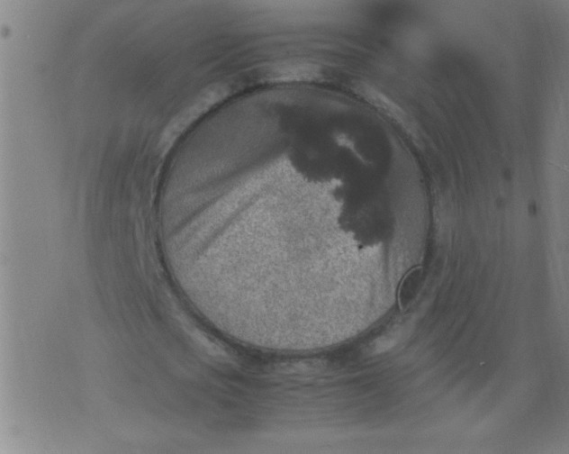 X0000070410721200606231827