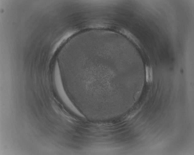 X0000070410723200606231827