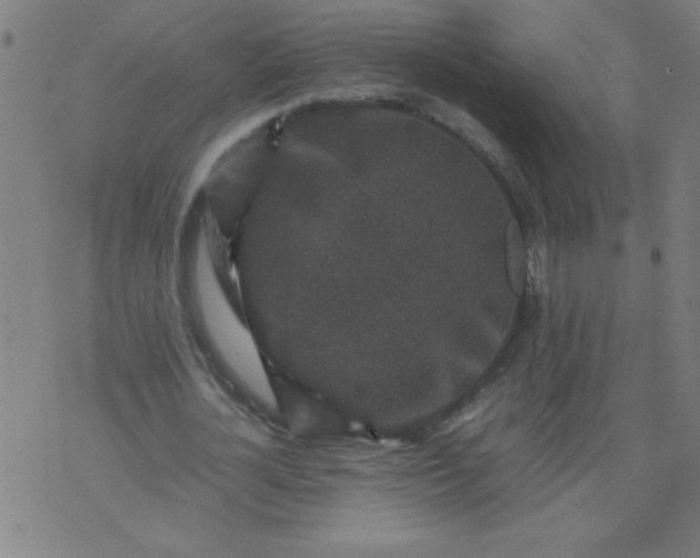 X0000070410724200606231827