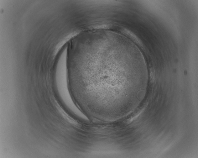 X0000070410725200606231827