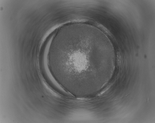 X0000070410726200606231827