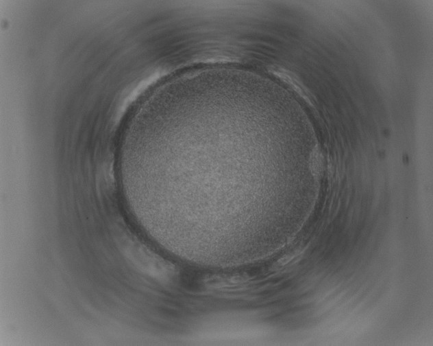 X0000070410727200606231827