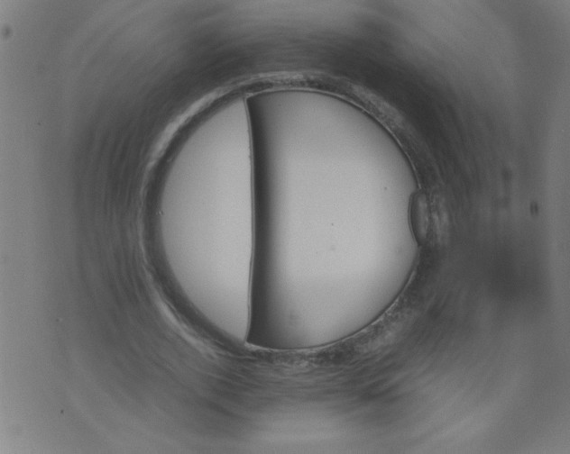 X0000070410728200606231827