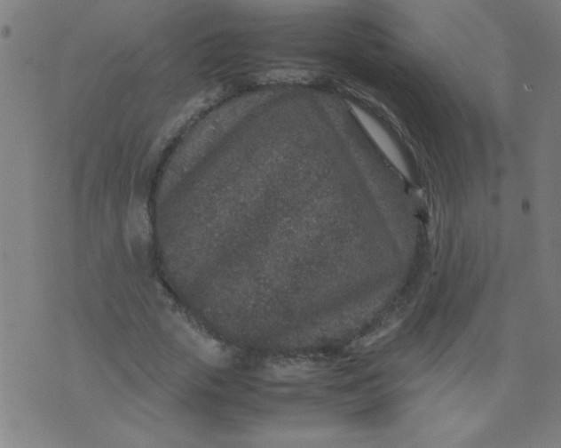 X0000070410729200606231827