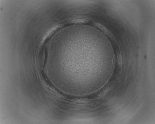 X0000070410731200606231827