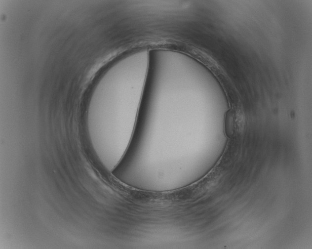 X0000070410732200606231827