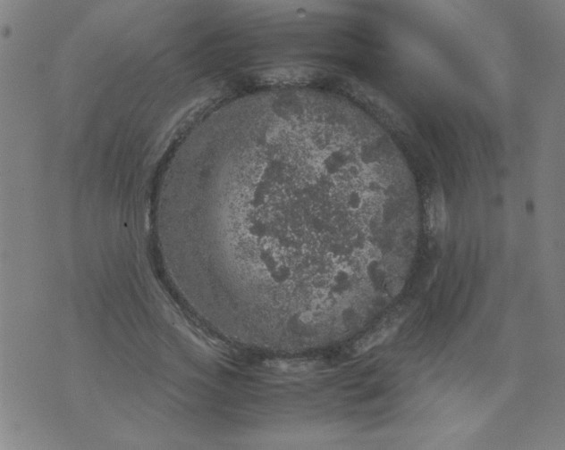 X0000070410733200606231827