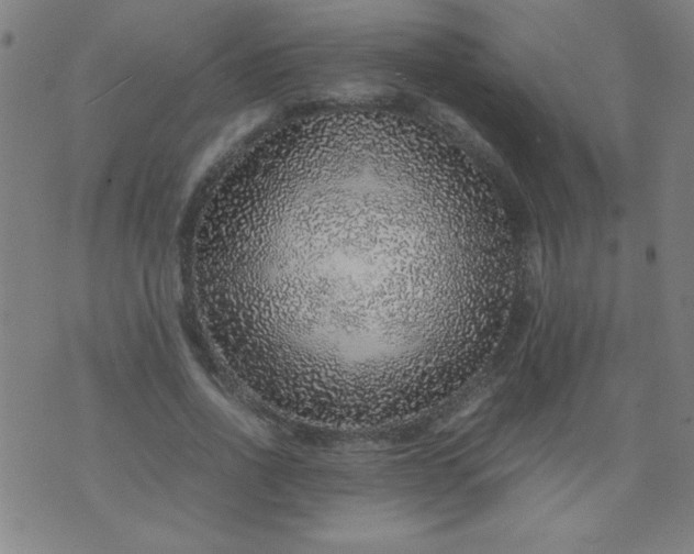 X0000070410734200606231827