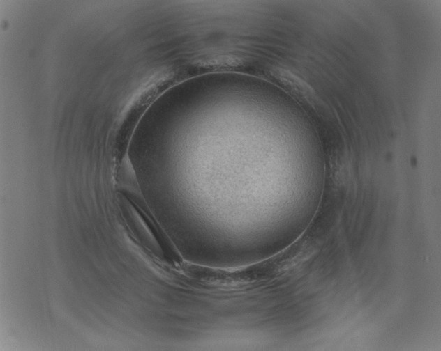 X0000070410735200606231827