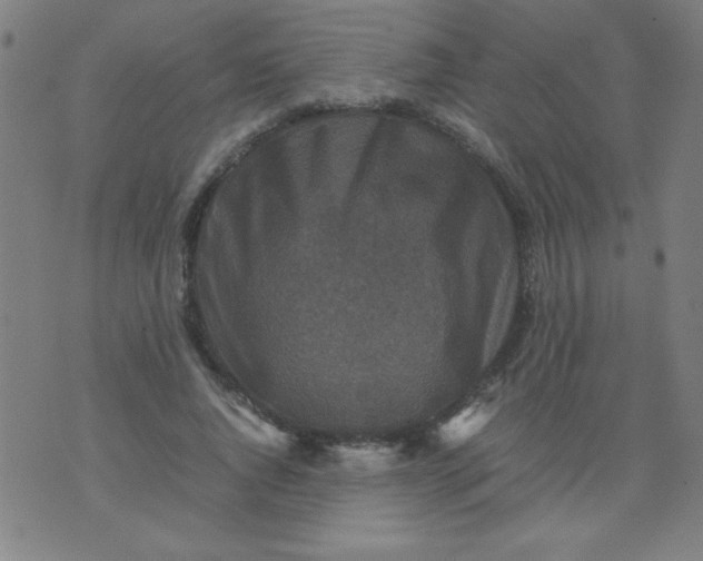 X0000070410736200606231827