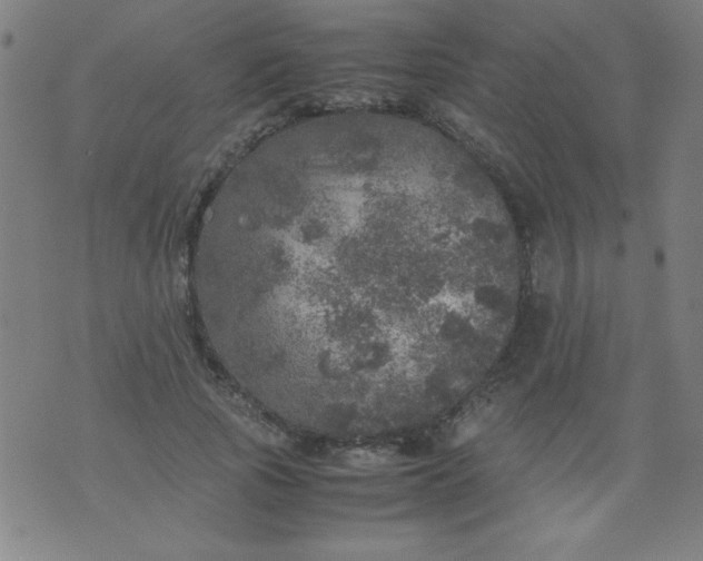 X0000070410737200606231827