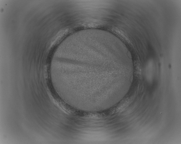 X0000070410738200606231827