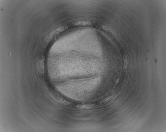 X0000070410739200606231827